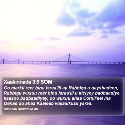 Xaakinnada 3:9 SOM Bible Verse Image