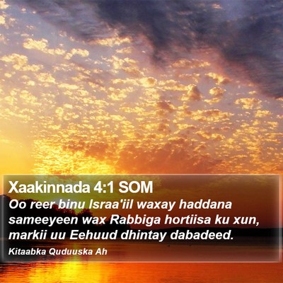 Xaakinnada 4:1 SOM Bible Verse Image