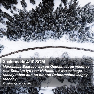 Xaakinnada 4:10 SOM Bible Verse Image
