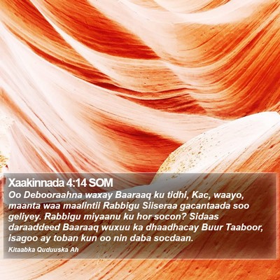 Xaakinnada 4:14 SOM Bible Verse Image