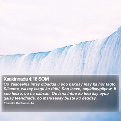 Xaakinnada 4:18 SOM Bible Verse Image