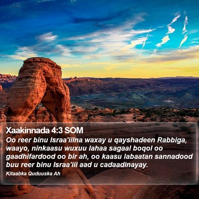 Xaakinnada 4:3 SOM Bible Verse Image