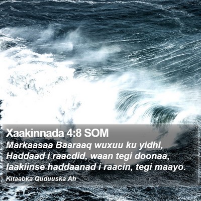 Xaakinnada 4:8 SOM Bible Verse Image
