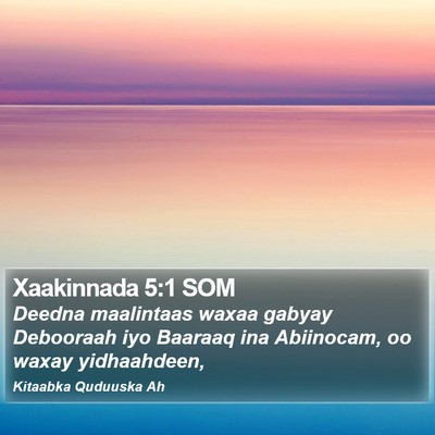 Xaakinnada 5:1 SOM Bible Verse Image