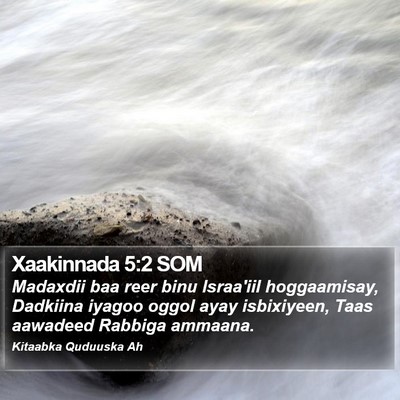 Xaakinnada 5:2 SOM Bible Verse Image