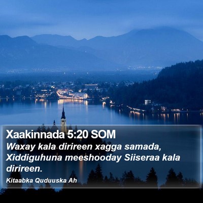 Xaakinnada 5:20 SOM Bible Verse Image