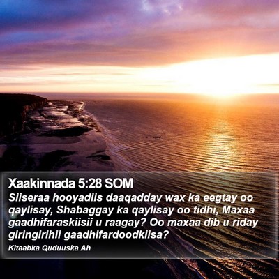 Xaakinnada 5:28 SOM Bible Verse Image