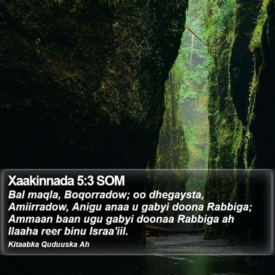 Xaakinnada 5:3 SOM Bible Verse Image