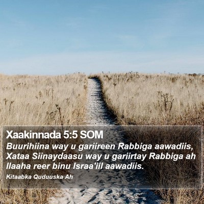 Xaakinnada 5:5 SOM Bible Verse Image