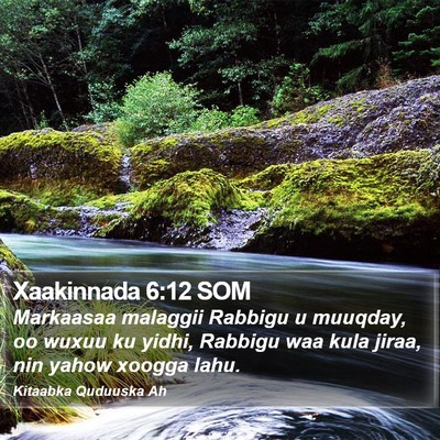 Xaakinnada 6:12 SOM Bible Verse Image