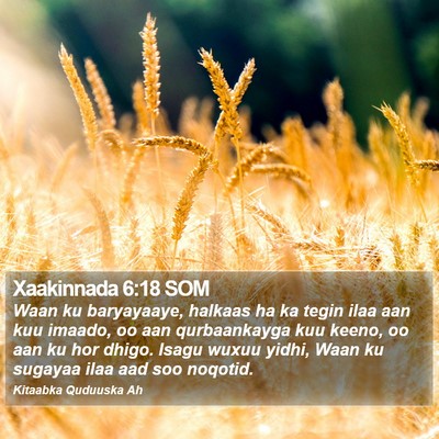 Xaakinnada 6:18 SOM Bible Verse Image