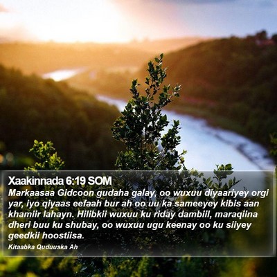 Xaakinnada 6:19 SOM Bible Verse Image