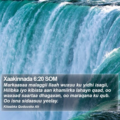 Xaakinnada 6:20 SOM Bible Verse Image