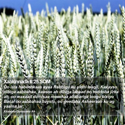 Xaakinnada 6:25 SOM Bible Verse Image
