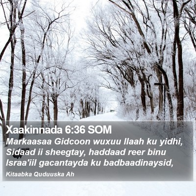 Xaakinnada 6:36 SOM Bible Verse Image