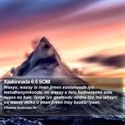 Xaakinnada 6:5 SOM Bible Verse Image