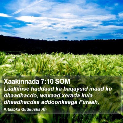 Xaakinnada 7:10 SOM Bible Verse Image