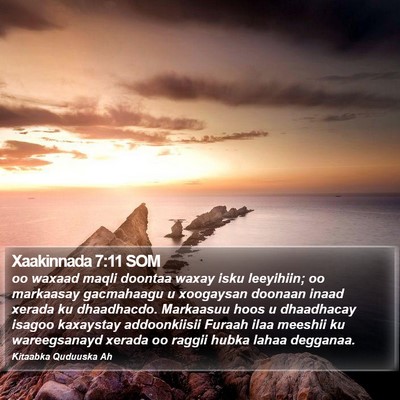 Xaakinnada 7:11 SOM Bible Verse Image