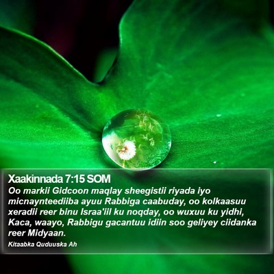 Xaakinnada 7:15 SOM Bible Verse Image