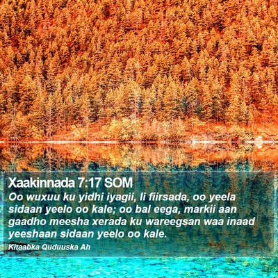 Xaakinnada 7:17 SOM Bible Verse Image