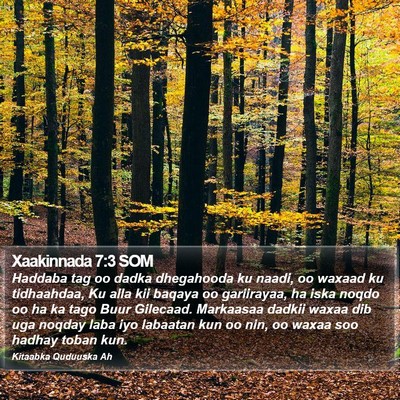 Xaakinnada 7:3 SOM Bible Verse Image