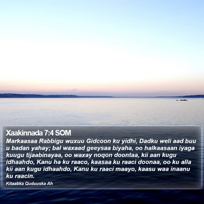 Xaakinnada 7:4 SOM Bible Verse Image