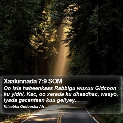 Xaakinnada 7:9 SOM Bible Verse Image