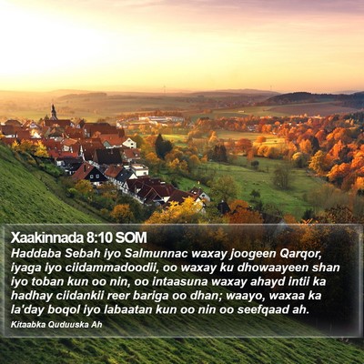 Xaakinnada 8:10 SOM Bible Verse Image