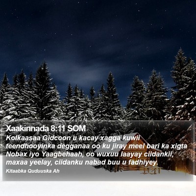 Xaakinnada 8:11 SOM Bible Verse Image