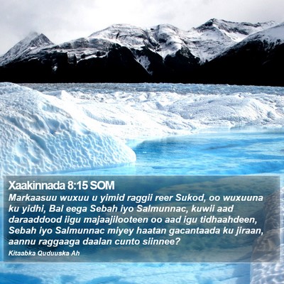 Xaakinnada 8:15 SOM Bible Verse Image