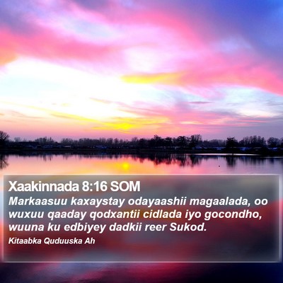 Xaakinnada 8:16 SOM Bible Verse Image