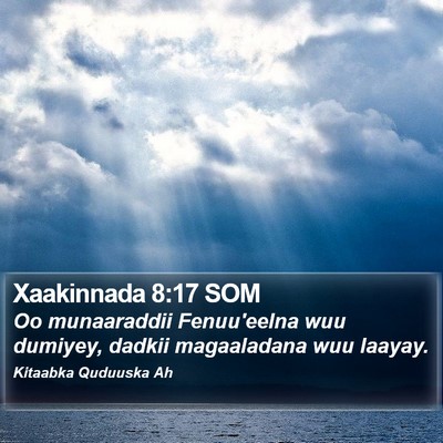 Xaakinnada 8:17 SOM Bible Verse Image