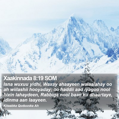 Xaakinnada 8:19 SOM Bible Verse Image
