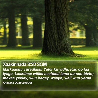 Xaakinnada 8:20 SOM Bible Verse Image