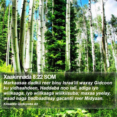 Xaakinnada 8:22 SOM Bible Verse Image