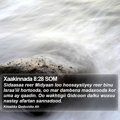 Xaakinnada 8:28 SOM Bible Verse Image