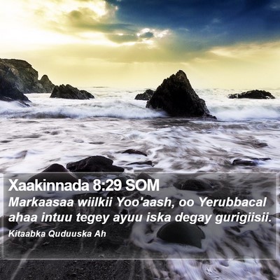 Xaakinnada 8:29 SOM Bible Verse Image