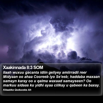 Xaakinnada 8:3 SOM Bible Verse Image