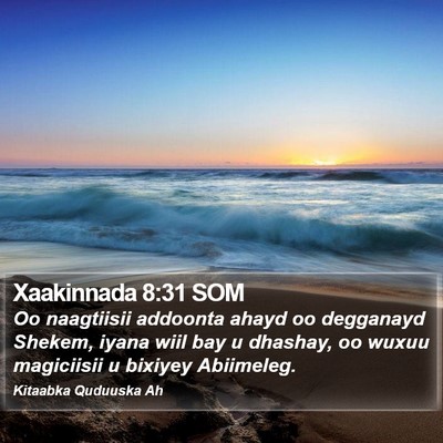 Xaakinnada 8:31 SOM Bible Verse Image