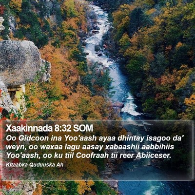 Xaakinnada 8:32 SOM Bible Verse Image