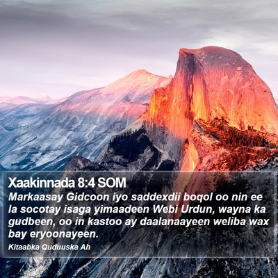 Xaakinnada 8:4 SOM Bible Verse Image