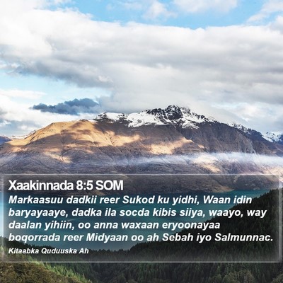 Xaakinnada 8:5 SOM Bible Verse Image