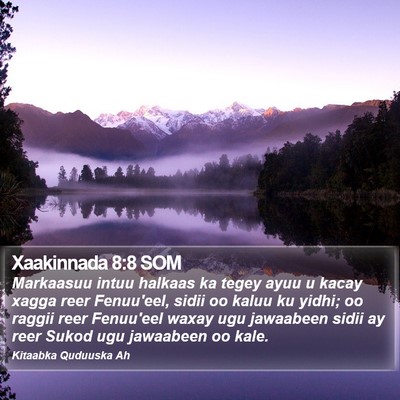 Xaakinnada 8:8 SOM Bible Verse Image