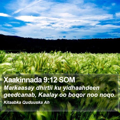 Xaakinnada 9:12 SOM Bible Verse Image