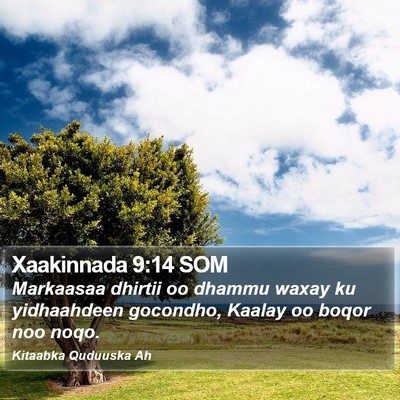 Xaakinnada 9:14 SOM Bible Verse Image