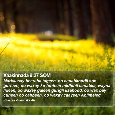 Xaakinnada 9:27 SOM Bible Verse Image