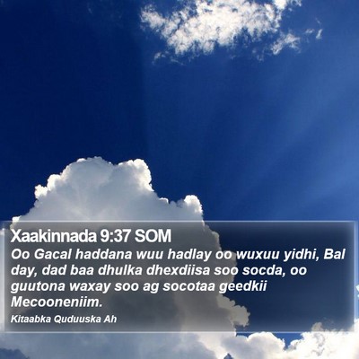 Xaakinnada 9:37 SOM Bible Verse Image