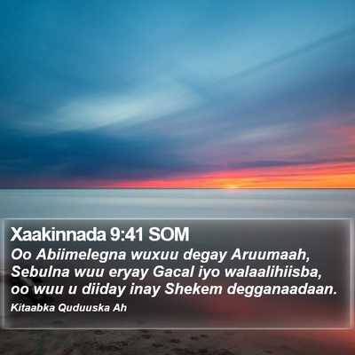 Xaakinnada 9:41 SOM Bible Verse Image