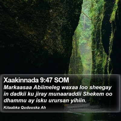 Xaakinnada 9:47 SOM Bible Verse Image