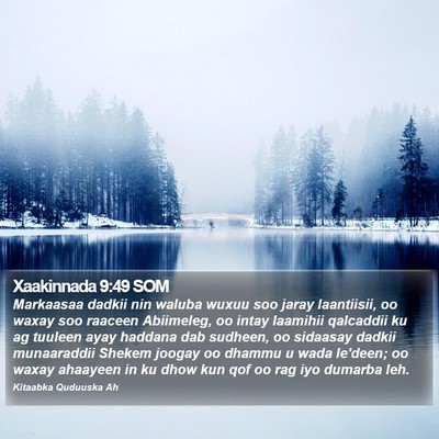 Xaakinnada 9:49 SOM Bible Verse Image